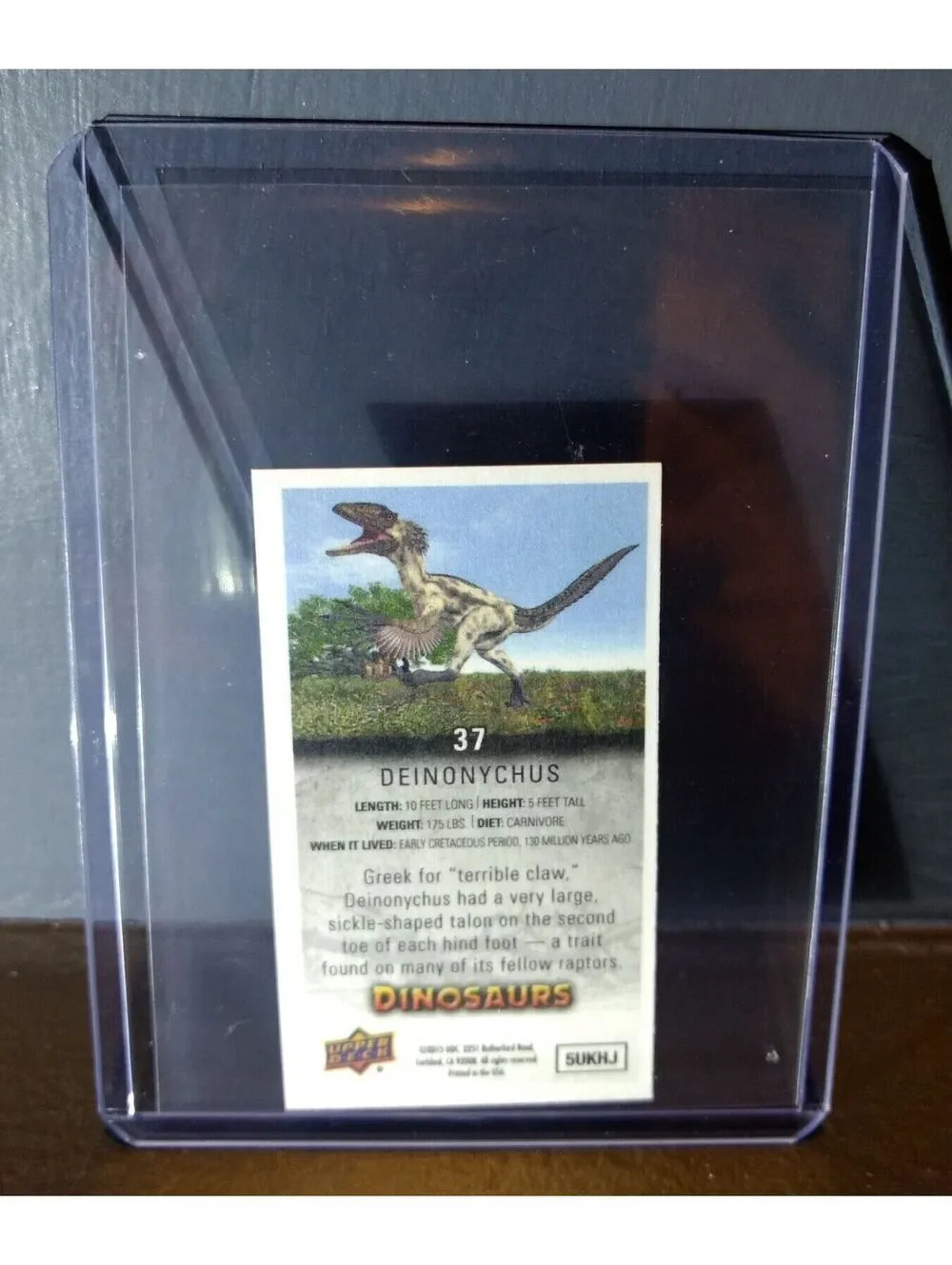 2015 Upper Deck Dinosaurs Canvas Mini Deinonychus #37 Trading Card
